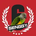 Senggy