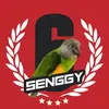 Senggy-avatar