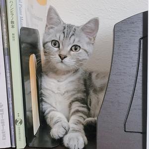 mmiiiii相互フォロー