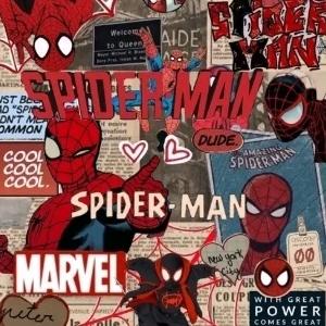 Spidermanz's images