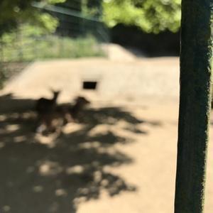 パチンコ撲滅隊