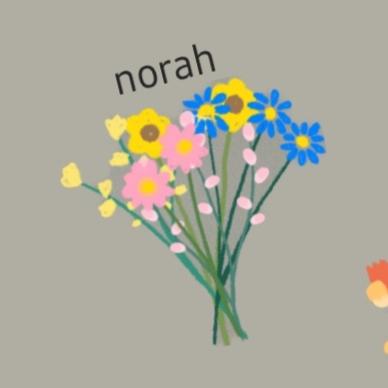 norah k.'s images