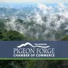 pigeonforgechamber-avatar
