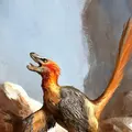Dinosaur Collector