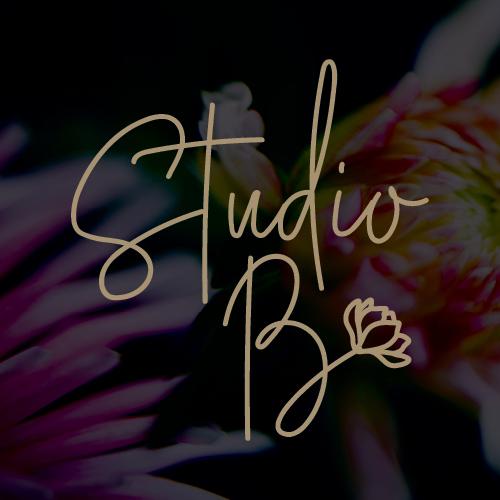 Studio B 's images