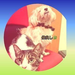 鬱ぽんニュース