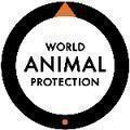 

animal's world
