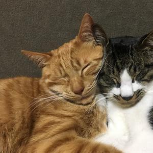 ターキー07 channel