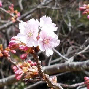 正にぃのここに行ったよ