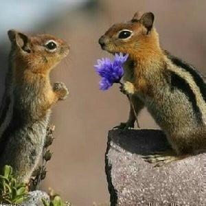 ひとつぶシアター