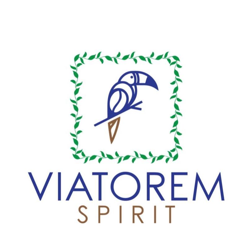 Viatorem Spirit's images