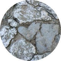 人生(ドライブ)