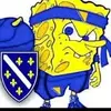 Bosnia strong -avatar