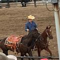 Horses&rodeos 's images