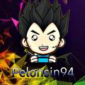 Pelonsin 24