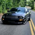 46_Shelby