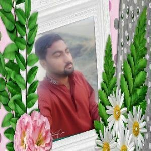 Abid Hussain