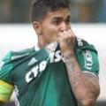 Eu Sou Palmeiras
