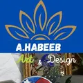 Ameer Habeeb