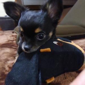 れおママチャンネル