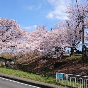 かっちゃんV相互フォロー