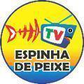 TV ESPINHA DE PEIXE