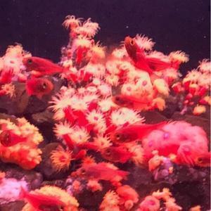 無断転載→犯罪者→カス貧乏人間