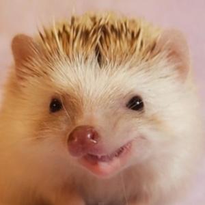 針村団子と仲間たち【相互】