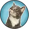 Figgy The Feline-avatar