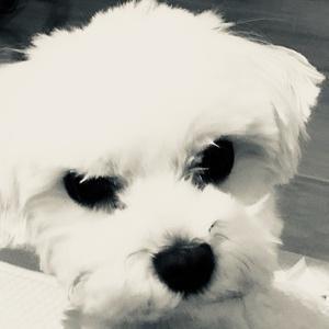 えむ＊ばず Channel