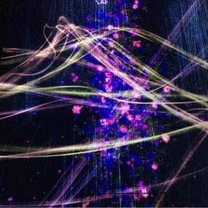 動物の楽園チャネル(相互のフォロー)