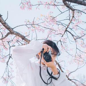櫻子|エモ写真旅、北埼玉暮らしの画像