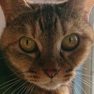 釣りＢＶ/Angler katsuya.