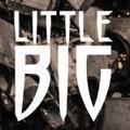 Little BIG