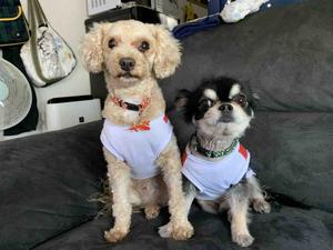 色んな動画アップします(°▽°)