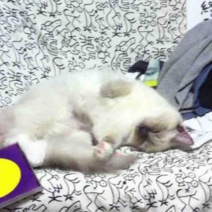 京都のおっさん@フォローバック100%